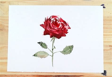 Watercolor Painting Techniques Roses