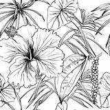 Tropical Leaf Coloring Page Pages sketch template