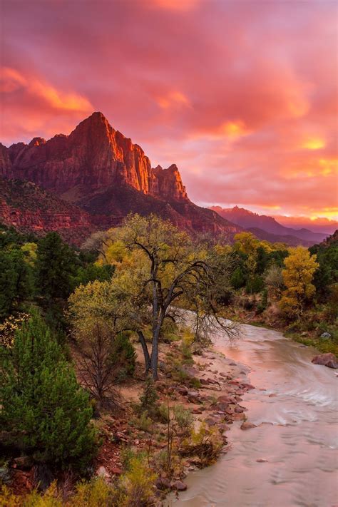 Zion Watchman - Utah Landscape Photography | Clint Losee Photography