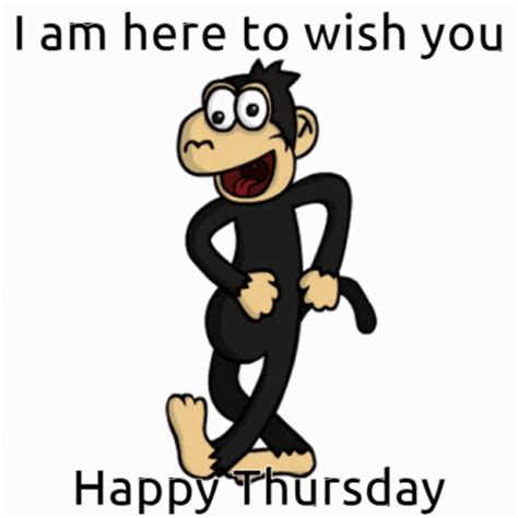 Monkey Thursday GIF - Monkey Thursday Dance - 发现和分享 GIF