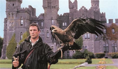 Explore the Castle grounds with a hawk swooping above your head. # ...