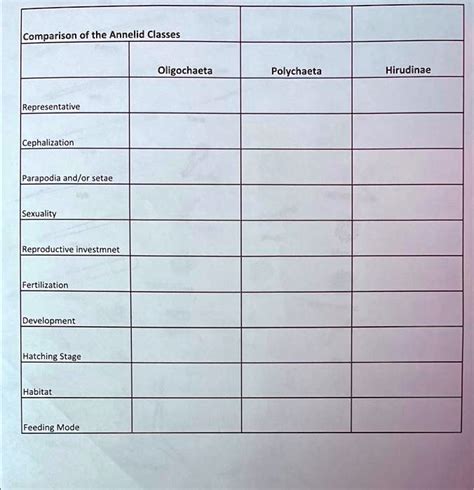 SOLVED: Text: Comparison of the Annelid Classes Comparison of the Annelid Classes Oligochaeta ...