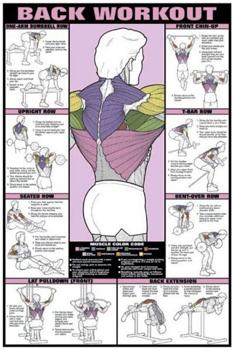 Back workout | Workout posters, Dumbbell workout, Back workout men