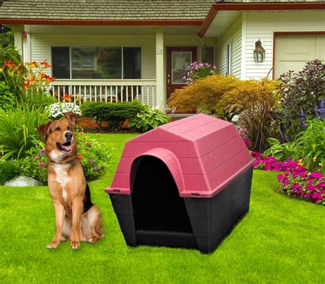 Casas Para Perro De Exterior En Plástico Grande Envío Gratis | MercadoLibre