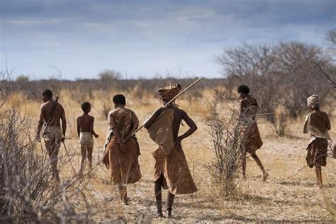 Rare Genetic Sequences Illuminate Early Humans' History in Africa ...