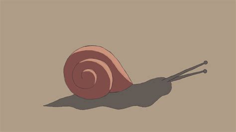 snail gifs Page 2 | WiffleGif