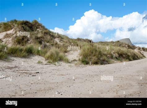 Utah Beach is one of the five Landing beaches in the Normandy landings ...