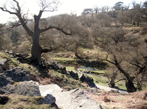 Bradgate Park in Spring | Cool pictures, Favorite places, Natural landmarks