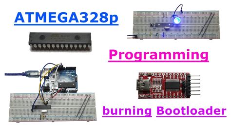 Using ATMEGA328p (Bootloader & Programming) - YouTube