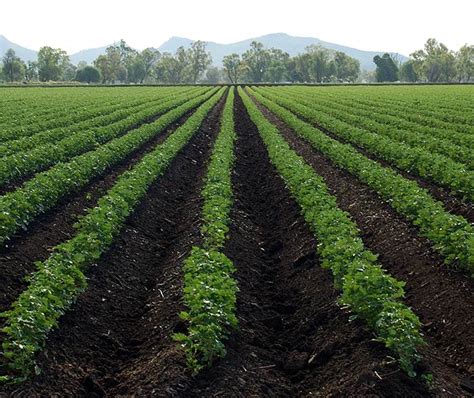 Land and soil information | NSW Environment and Heritage