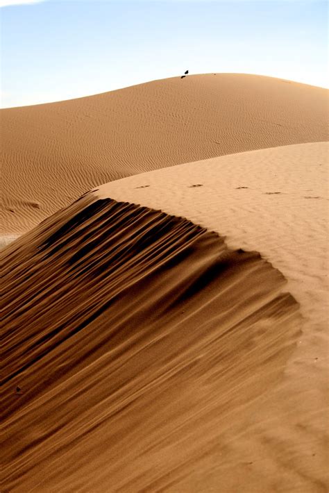 The Good Life in Morocco: Sand Boarding in the Sahara Desert - Morocco