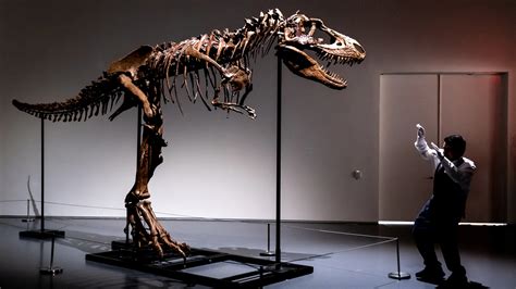 A 76 million-year-old dinosaur skeleton will be auctioned in NYC : NPR