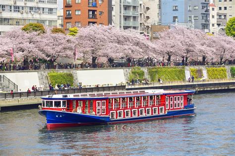 Cherry Blossom Festival Dc Boat Tours - Elvira Blondelle