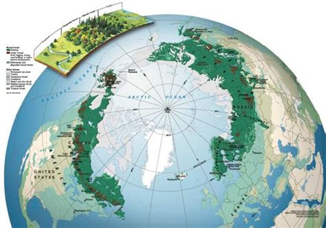 Boreal Forest Map | Forest map, Boreal forest, National geographic magazine