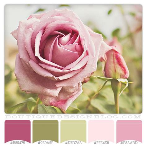 Rose Garden color scheme with pinks and greens | DESIGN: Color Palettes ...