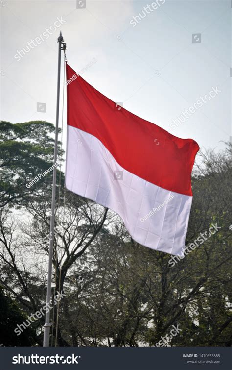 Bendera Merah Putih Berkibar Indonesian Flag Foto de stock 1470353555 | Shutterstock