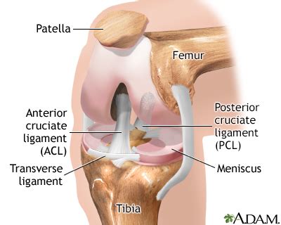 Knee arthroscopy Information | Mount Sinai - New York