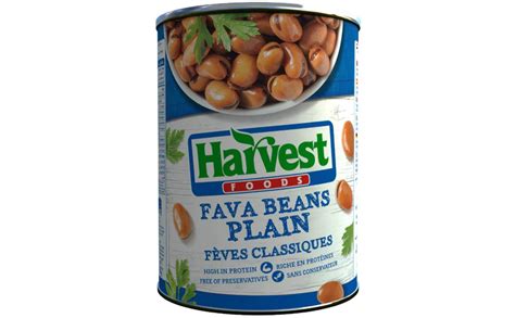 Harvest Plain Fava Beans - 400 gm price in Egypt | Amazon Egypt | kanbkam