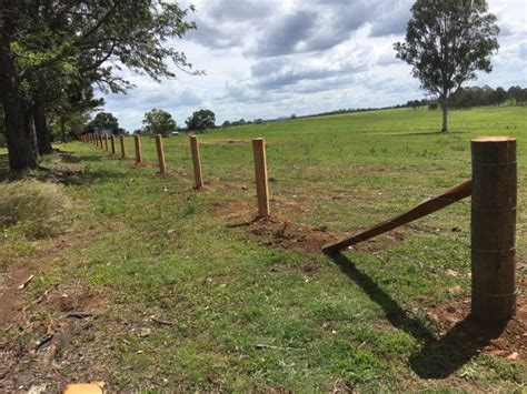 How To Build Barbed Wire Cattle Fence - Design Talk