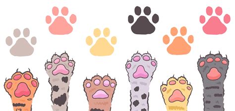 Cat paw pattern 20818288 Vector Art at Vecteezy