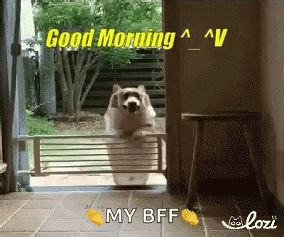 Good Morning Bff GIF - GoodMorning Bff Greetings - Discover & Share GIFs