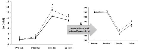 Pyruvate Supplements - Useless as Ergogenic, Surprisingly Effective as Dieting Aid & Body ...