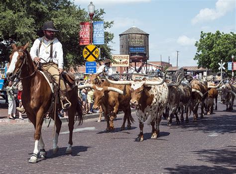 Why the Fort Worth Stockyards Are Famous (And What to See) – Blog