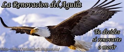 Todo Mujer: LA RENOVACION DEL AGUILA