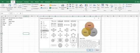 Venn Diagram: Excel Tutorial