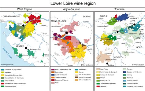 Vineyards of Gros-Plant du pays nantais, Muscadet, Muscadet de Sèvre-et ...