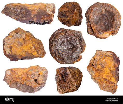 collection from specimens of limonite ore (iron ore, bog iron ore, brown hematite, brown iron ...