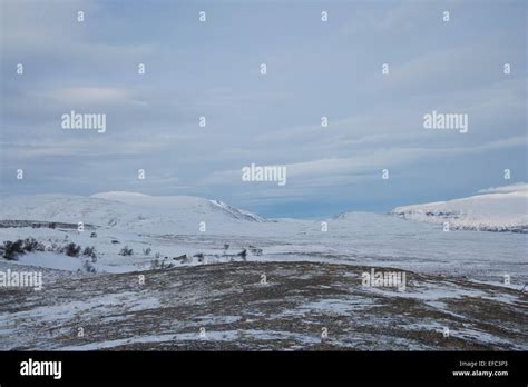 Dovrefjell National Park Stock Photo - Alamy