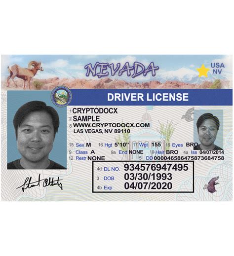 Editable Nevada Drivers License Template | ubicaciondepersonas.cdmx.gob.mx