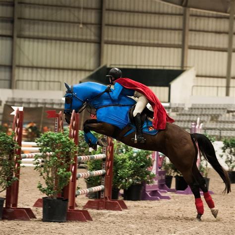 Great Southwest Equestrian Center (@greatswequestriancenter) • Threads ...