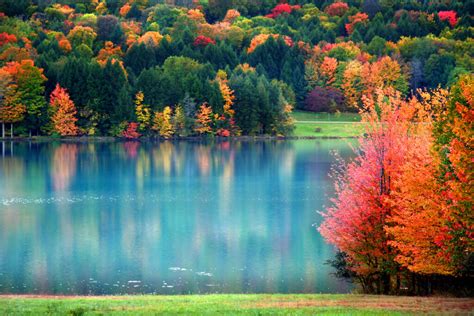 Discovering Pennsylvania Fall Foliage: A Scenic Guide - Minneopa Orchards