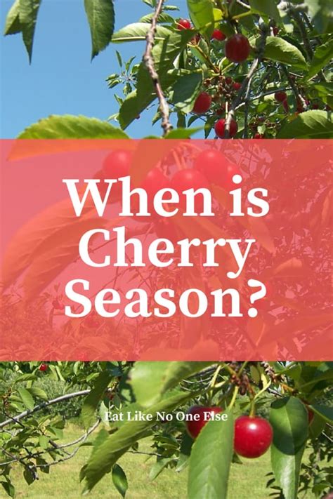 When Does Cherry Season Begin (and End)? – Eat Like No One Else