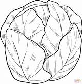 Salad Clipart Clip Fruit Line Coloring Pages Drawing Salads Colouring  sketch template