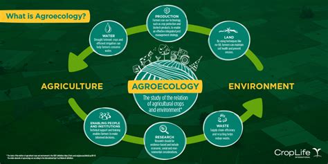 What is Agroecology? | CropLife International