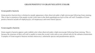 gram staining.pptx