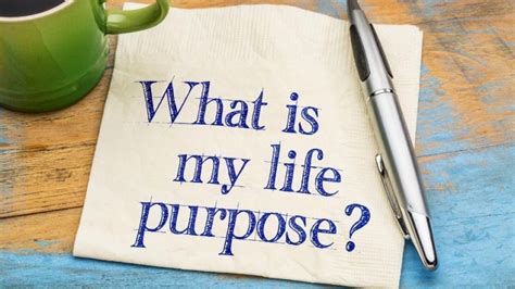 What is the Purpose of Life | How To Find It and Why You Should Have ...