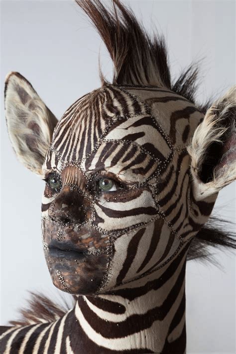 From Specimen to Taxidermy in Art | DailyArt Magazine