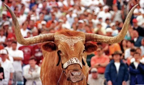 Longhorns Forgotten Day: Fan sells Bevo chip 'jewelry'