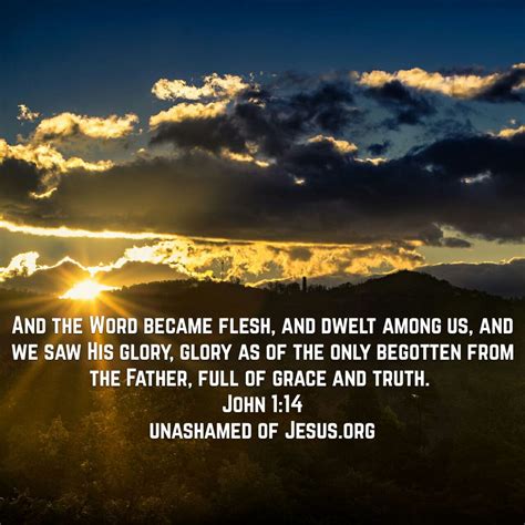 Word Became Flesh | Unashamed of Jesus