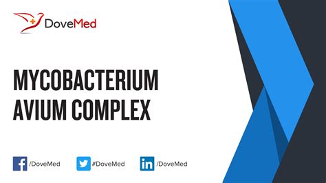 Mycobacterium Avium Complex