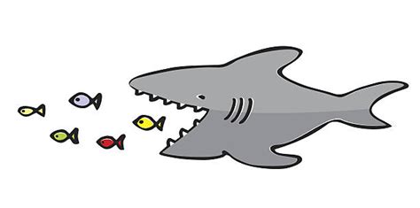 Shark Eating Illustrations, Royalty-Free Vector Graphics & Clip Art - iStock