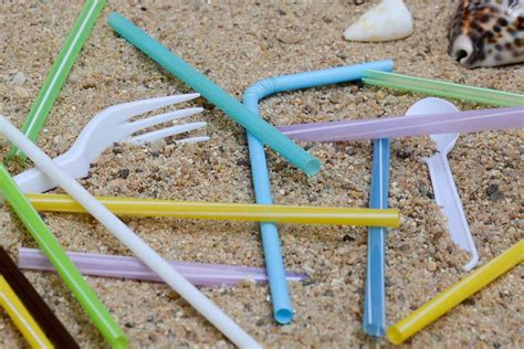 Top tips to reduce your plastic waste - National Geographic Kids