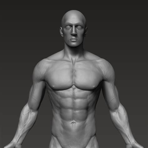 ArtStation - Anatomically correct muscular male body Low and High Poly Low-poly 3D model | Resources