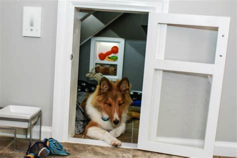 DIY Built-in Dog Kennel Under the Stairs | Diy dog kennel, Dog under ...