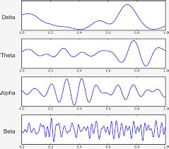 Mohammadreza Taremi / EEG Signal Classification · GitLab