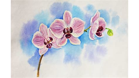 Drawing lessons. How to draw an orchid, whatercolour flower - YouTube